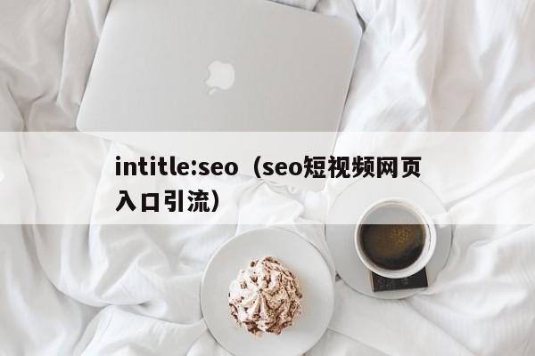 intitle:seo（seo短视频网页入口引流）