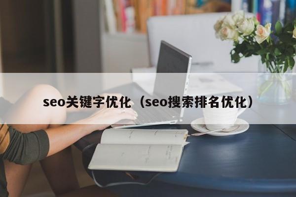 seo关键字优化（seo搜索排名优化）