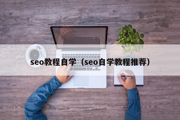 seo教程自学（seo自学教程推荐）