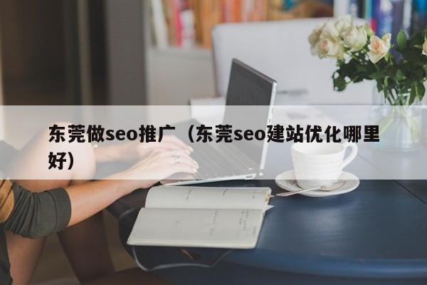 东莞做seo推广（东莞seo建站优化哪里好）