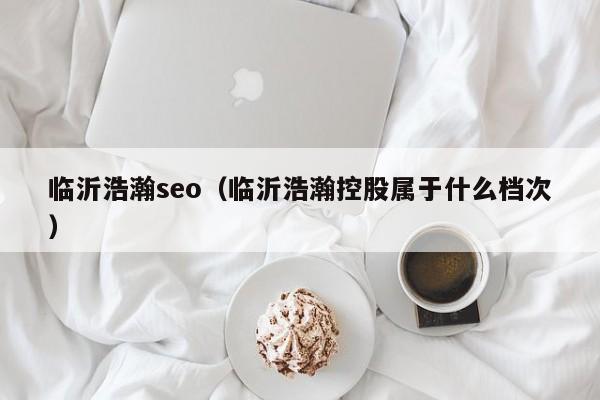 临沂浩瀚seo（临沂浩瀚控股属于什么档次）