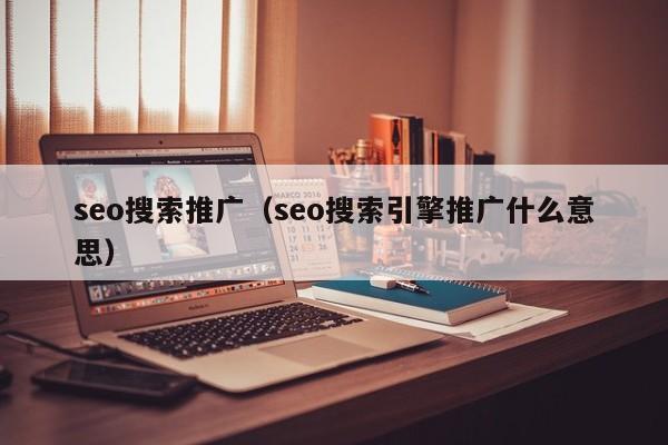 seo搜索推广（seo搜索引擎推广什么意思）