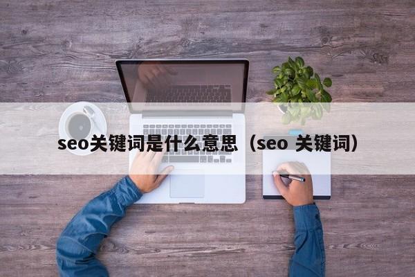 seo关键词是什么意思（seo 关键词）