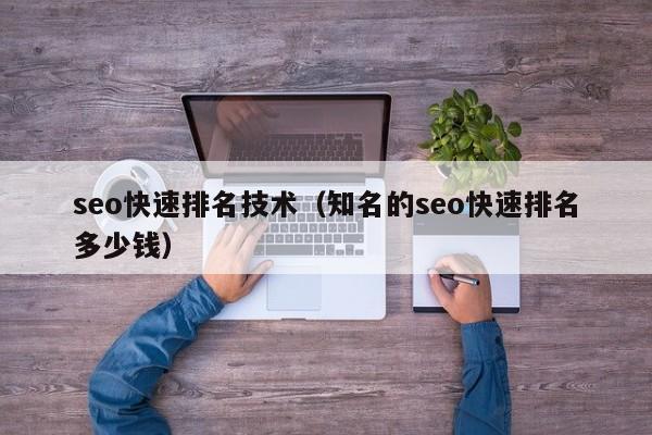 seo快速排名技术（知名的seo快速排名多少钱）