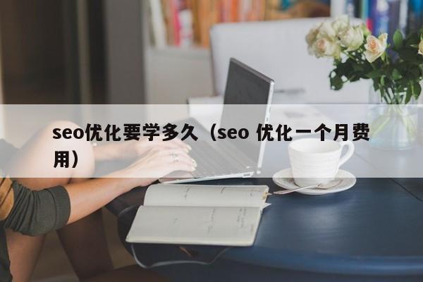 seo优化要学多久（seo 优化一个月费用）