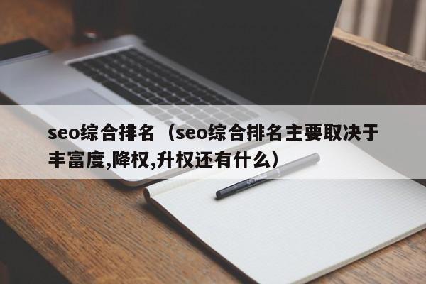 seo综合排名（seo综合排名主要取决于丰富度,降权,升权还有什么）