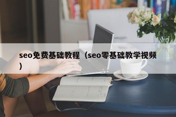 seo免费基础教程（seo零基础教学视频）