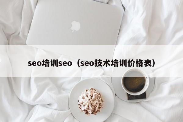 seo培训seo（seo技术培训价格表）