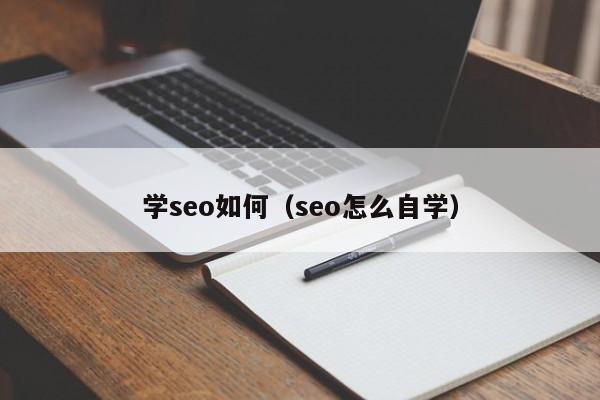 学seo如何（seo怎么自学）