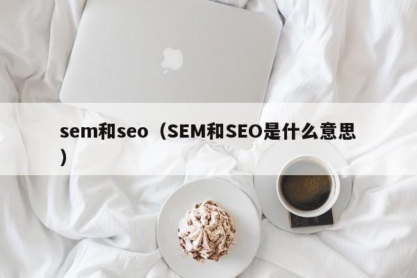 sem和seo（SEM和SEO是什么意思）