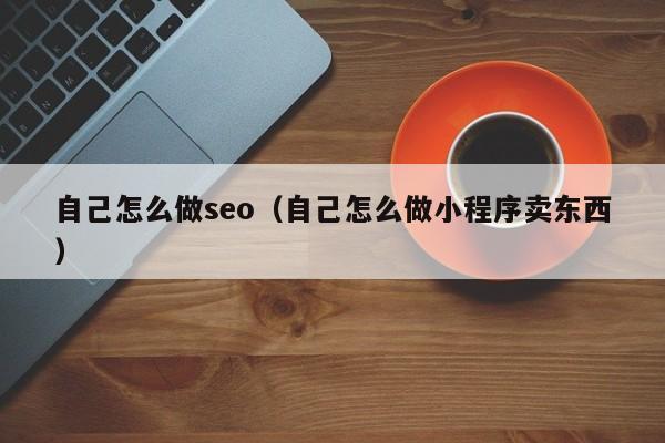 自己怎么做seo（自己怎么做小程序卖东西）