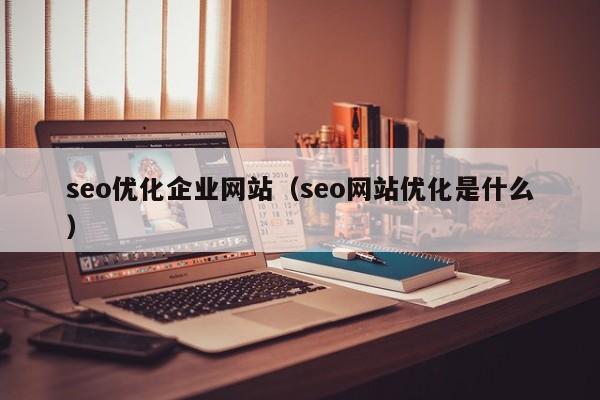 seo优化企业网站（seo网站优化是什么）