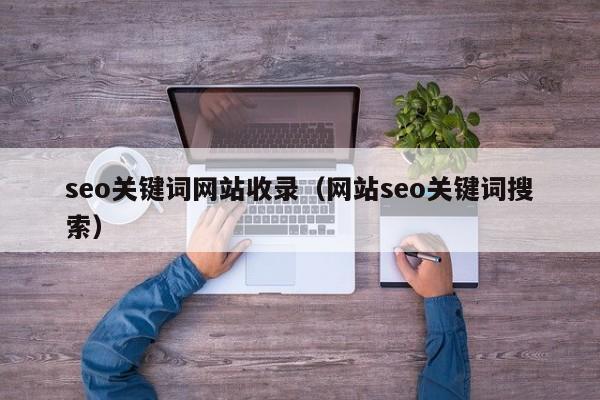 seo关键词网站收录（网站seo关键词搜索）