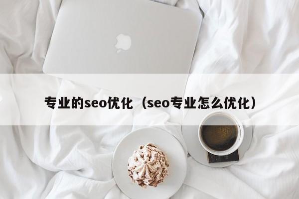 专业的seo优化（seo专业怎么优化）