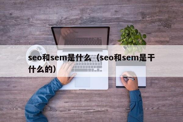 seo和sem是什么（seo和sem是干什么的）