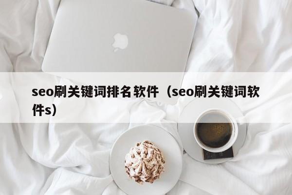 seo刷关键词排名软件（seo刷关键词软件s）