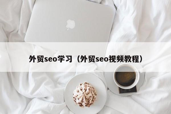 外贸seo学习（外贸seo视频教程）