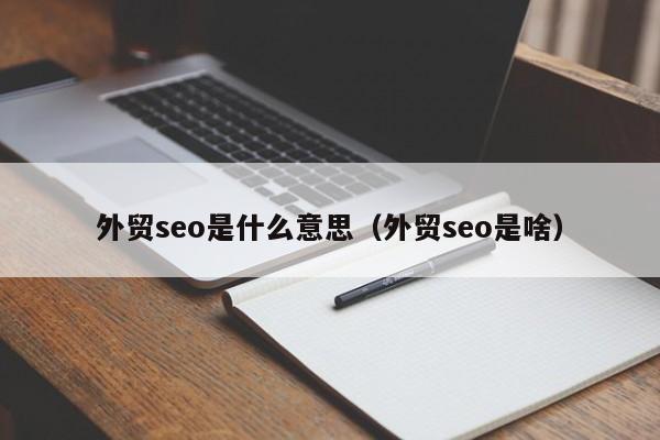 外贸seo是什么意思（外贸seo是啥）