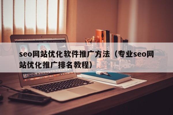 seo网站优化软件推广方法（专业seo网站优化推广排名教程）