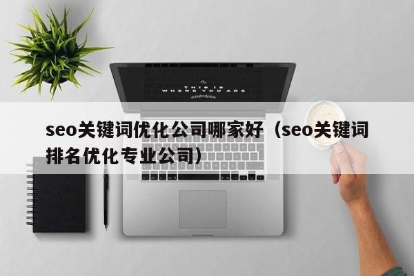 seo关键词优化公司哪家好（seo关键词排名优化专业公司）