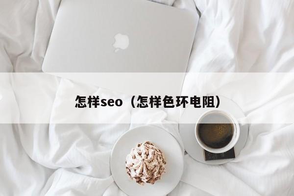 怎样seo（怎样色环电阻）