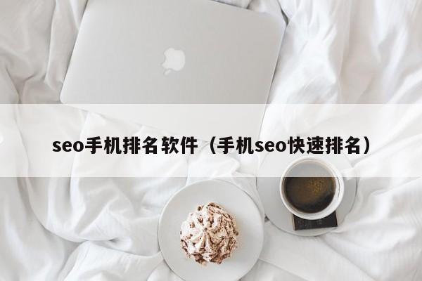 seo手机排名软件（手机seo快速排名）