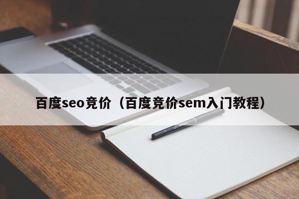 百度seo竞价（百度竞价sem入门教程）