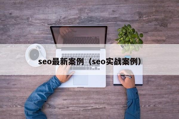 seo最新案例（seo实战案例）