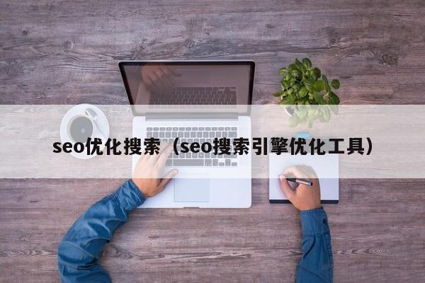 seo优化搜索（seo搜索引擎优化工具）