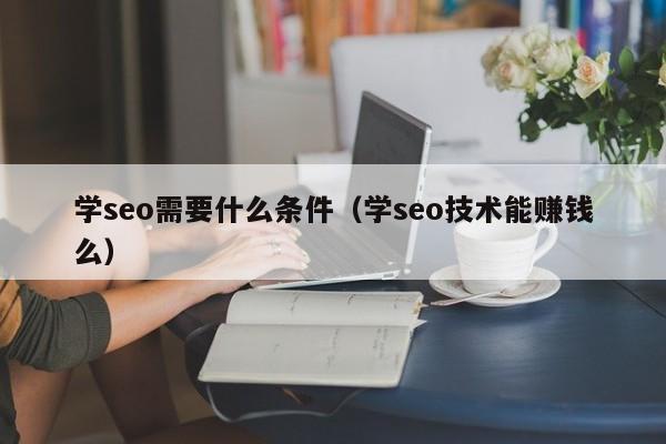 学seo需要什么条件（学seo技术能赚钱么）