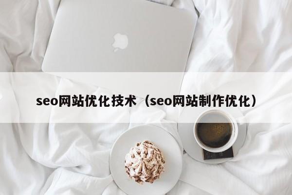 seo网站优化技术（seo网站制作优化）