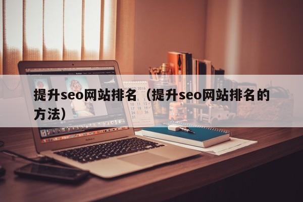 提升seo网站排名（提升seo网站排名的方法）