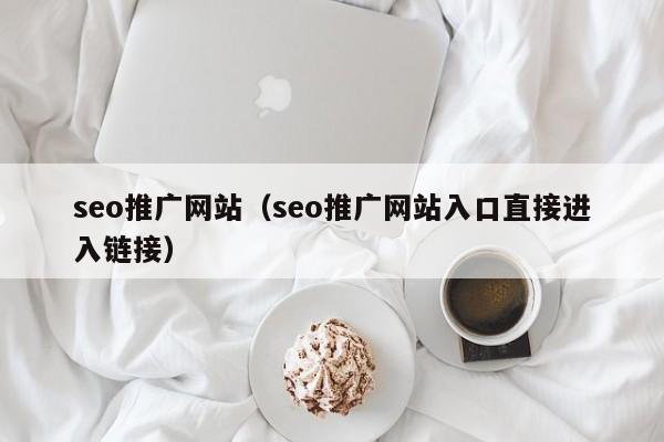 seo推广网站（seo推广网站入口直接进入链接）