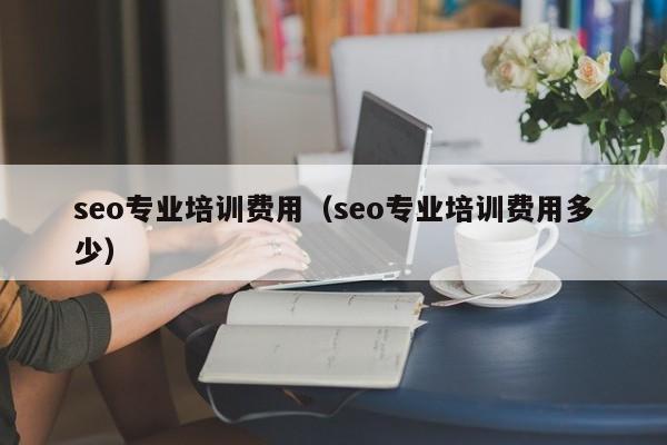 seo专业培训费用（seo专业培训费用多少）