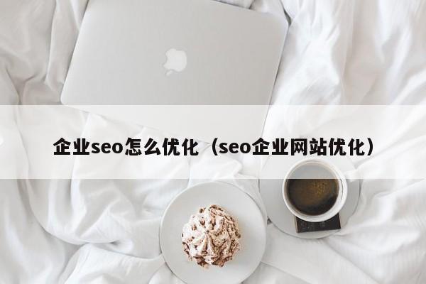 企业seo怎么优化（seo企业网站优化）