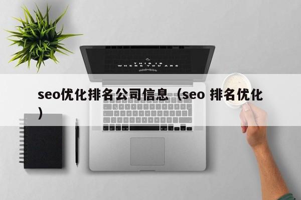 seo优化排名公司信息（seo 排名优化）