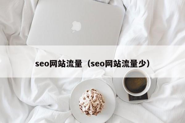 seo网站流量（seo网站流量少）