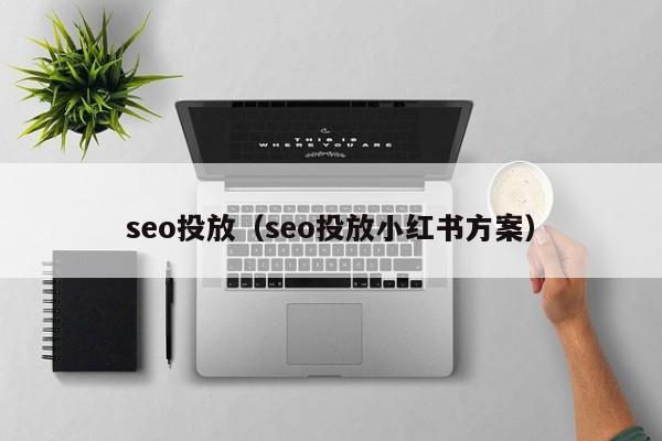 seo投放（seo投放小红书方案）