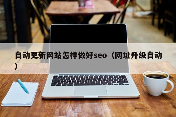 自动更新网站怎样做好seo（网址升级自动）