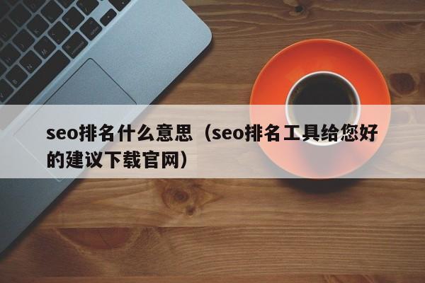 seo排名什么意思（seo排名工具给您好的建议下载官网）