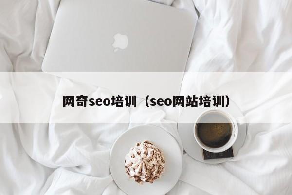 网奇seo培训（seo网站培训）