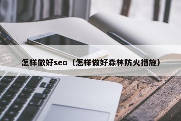 怎样做好seo（怎样做好森林防火措施）