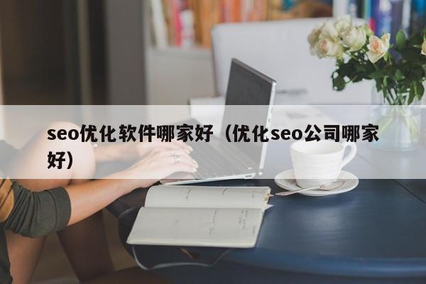 seo优化软件哪家好（优化seo公司哪家好）