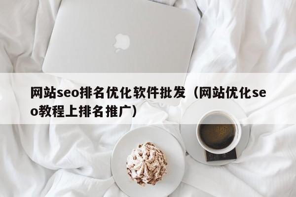 网站seo排名优化软件批发（网站优化seo教程上排名推广）