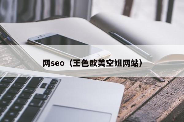 网seo（王色欧美空姐网站）