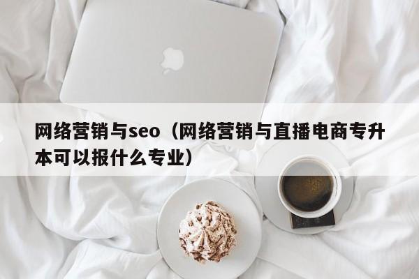 网络营销与seo（网络营销与直播电商专升本可以报什么专业）