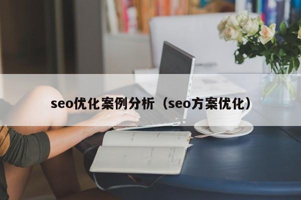 seo优化案例分析（seo方案优化）