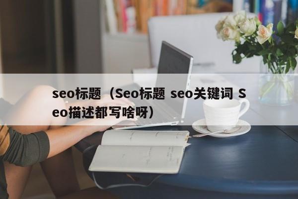 seo标题（Seo标题 seo关键词 Seo描述都写啥呀）