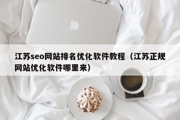 江苏seo网站排名优化软件教程（江苏正规网站优化软件哪里来）