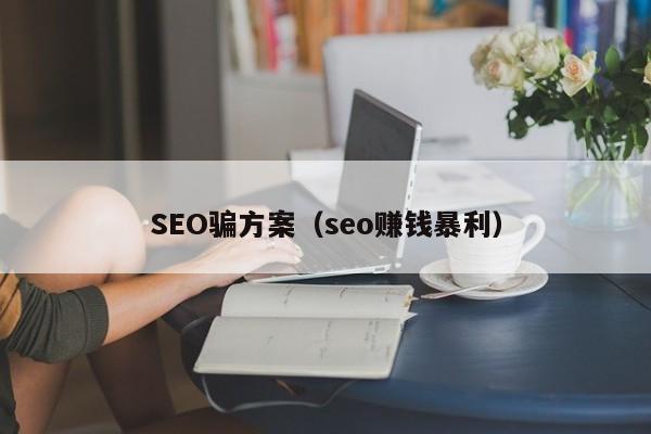 SEO骗方案（seo赚钱暴利）